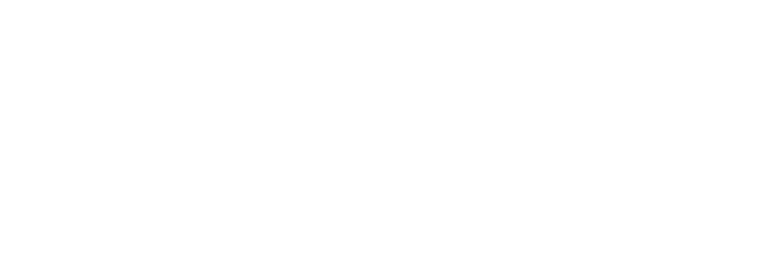 FSIMF White Logo