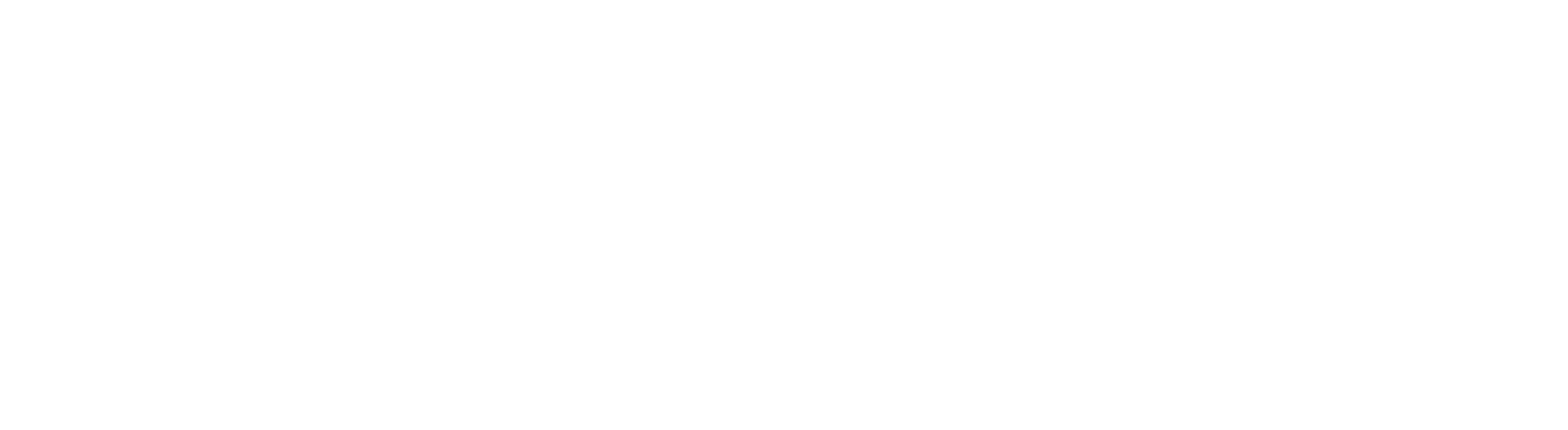 FSIMF